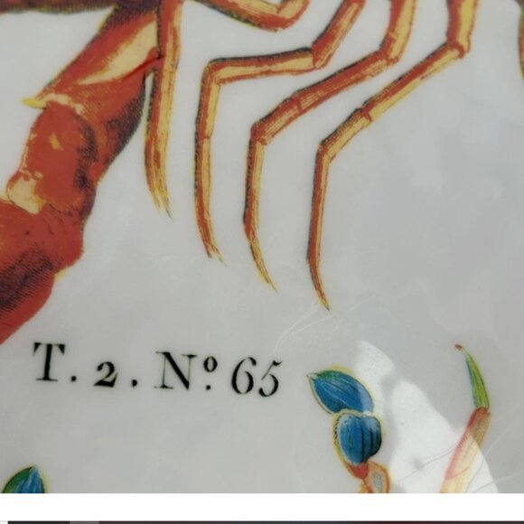 Michel Design Works Lobster Crab Serving Bowl 12" Melamine Orange Scalloped Rim - Picture 3 of 6